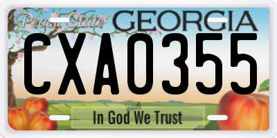 GA license plate CXA0355