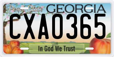 GA license plate CXA0365