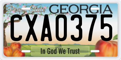 GA license plate CXA0375