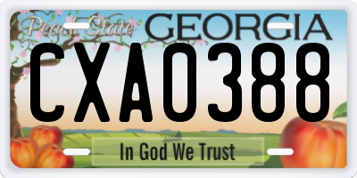 GA license plate CXA0388