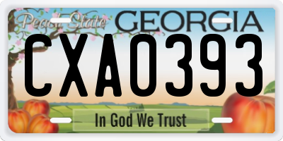 GA license plate CXA0393