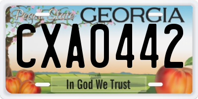 GA license plate CXA0442