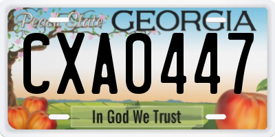 GA license plate CXA0447