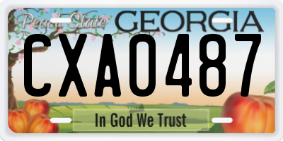 GA license plate CXA0487
