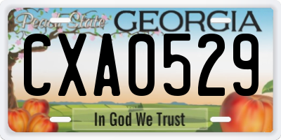 GA license plate CXA0529