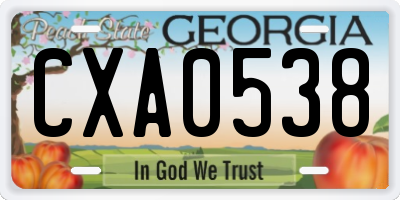 GA license plate CXA0538