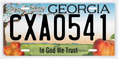 GA license plate CXA0541