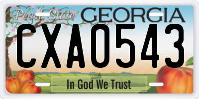GA license plate CXA0543