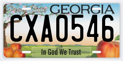 GA license plate CXA0546