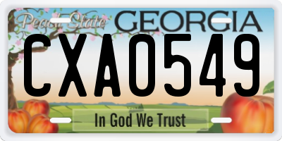 GA license plate CXA0549