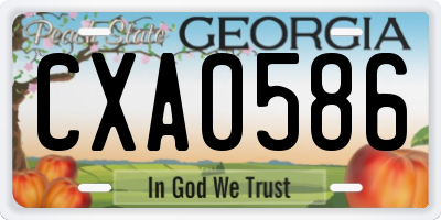 GA license plate CXA0586