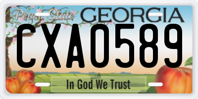 GA license plate CXA0589