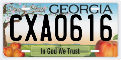 GA license plate CXA0616