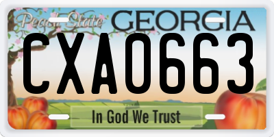 GA license plate CXA0663