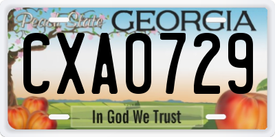 GA license plate CXA0729
