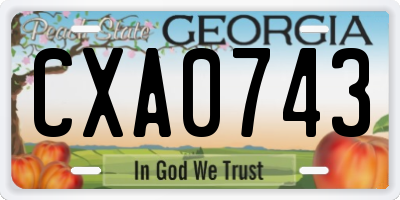 GA license plate CXA0743