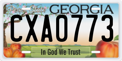 GA license plate CXA0773