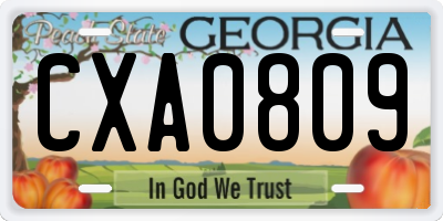 GA license plate CXA0809