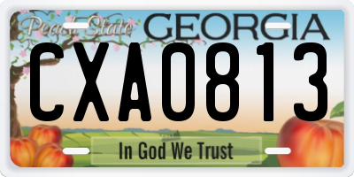 GA license plate CXA0813