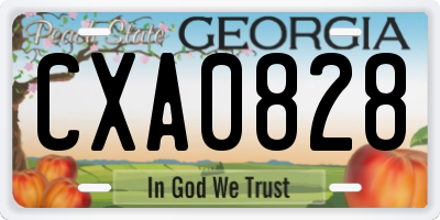 GA license plate CXA0828