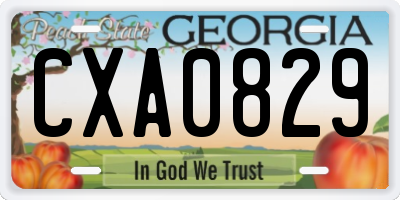 GA license plate CXA0829