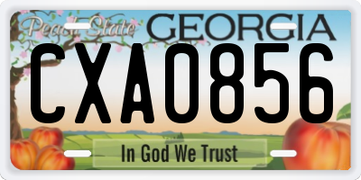 GA license plate CXA0856