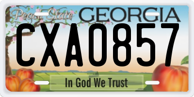 GA license plate CXA0857