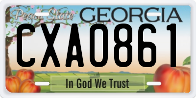 GA license plate CXA0861