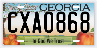 GA license plate CXA0868