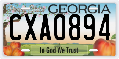 GA license plate CXA0894