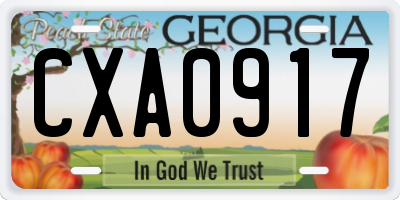 GA license plate CXA0917