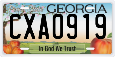 GA license plate CXA0919