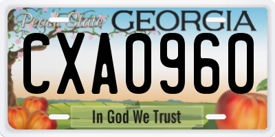 GA license plate CXA0960