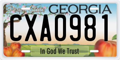 GA license plate CXA0981