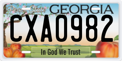 GA license plate CXA0982