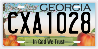 GA license plate CXA1028