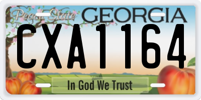 GA license plate CXA1164