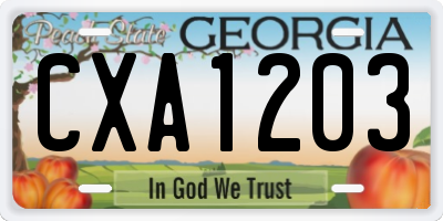 GA license plate CXA1203
