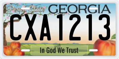 GA license plate CXA1213