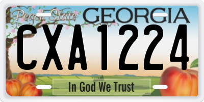 GA license plate CXA1224