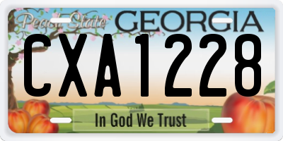 GA license plate CXA1228