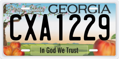 GA license plate CXA1229