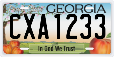 GA license plate CXA1233