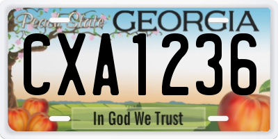 GA license plate CXA1236