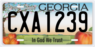 GA license plate CXA1239