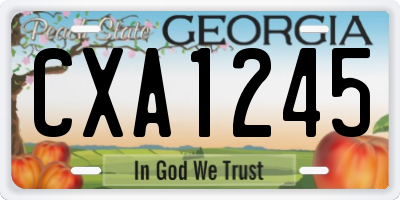 GA license plate CXA1245