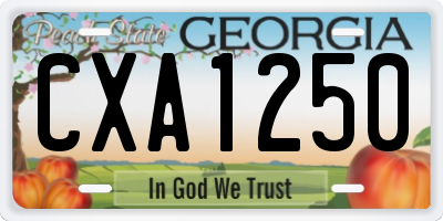 GA license plate CXA1250