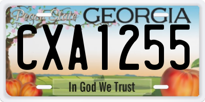 GA license plate CXA1255