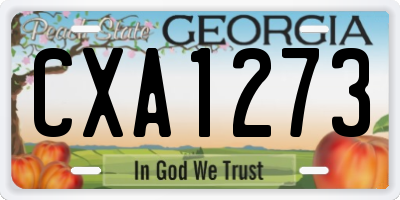 GA license plate CXA1273
