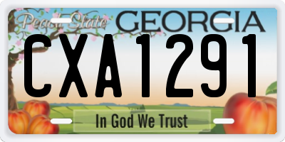 GA license plate CXA1291